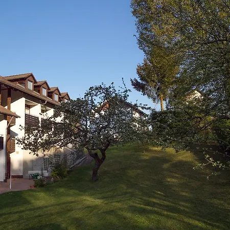 Hotel Am Lingelbach 3*