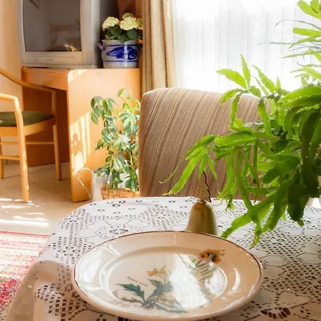 Am Lingelbach Knüllwald