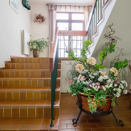 Am Lingelbach فندق 3*