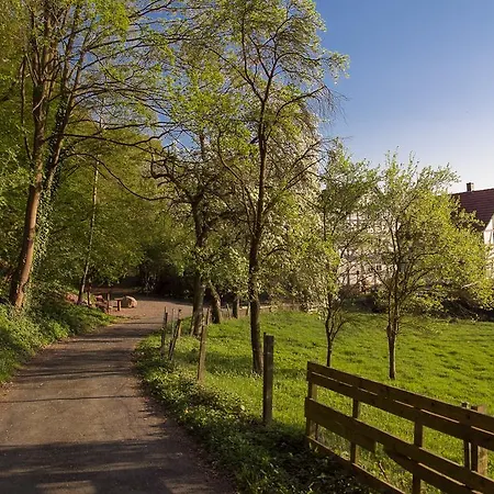 Am Lingelbach 3* Knüllwald