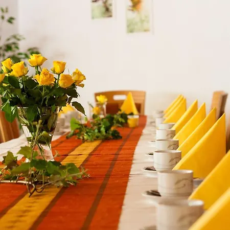 Am Lingelbach Knüllwald