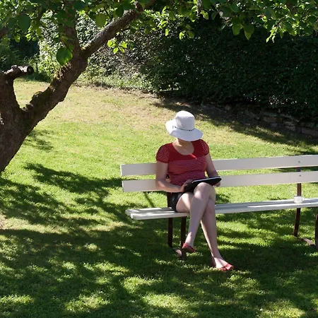 Am Lingelbach מלון Knüllwald